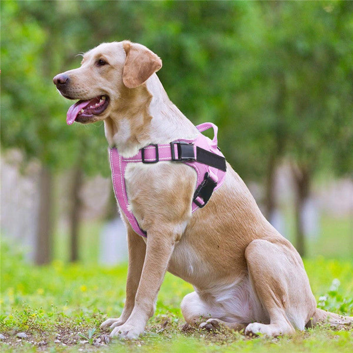 The Ultimate Adventure Companion: Dog Vest Chest Strap Leash