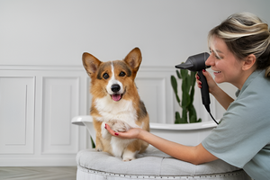 Essential Pet Grooming Tips for Owners