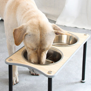 Elevate Your Dog's Dining Experience