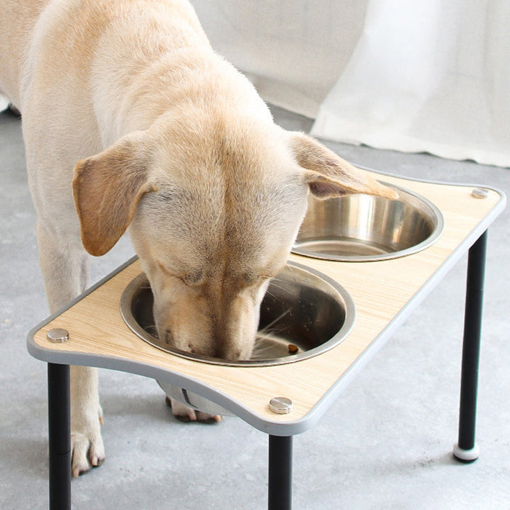 Elevate Your Dog's Dining Experience