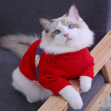 Sweaters For Anti Shedding Kittens And Pet