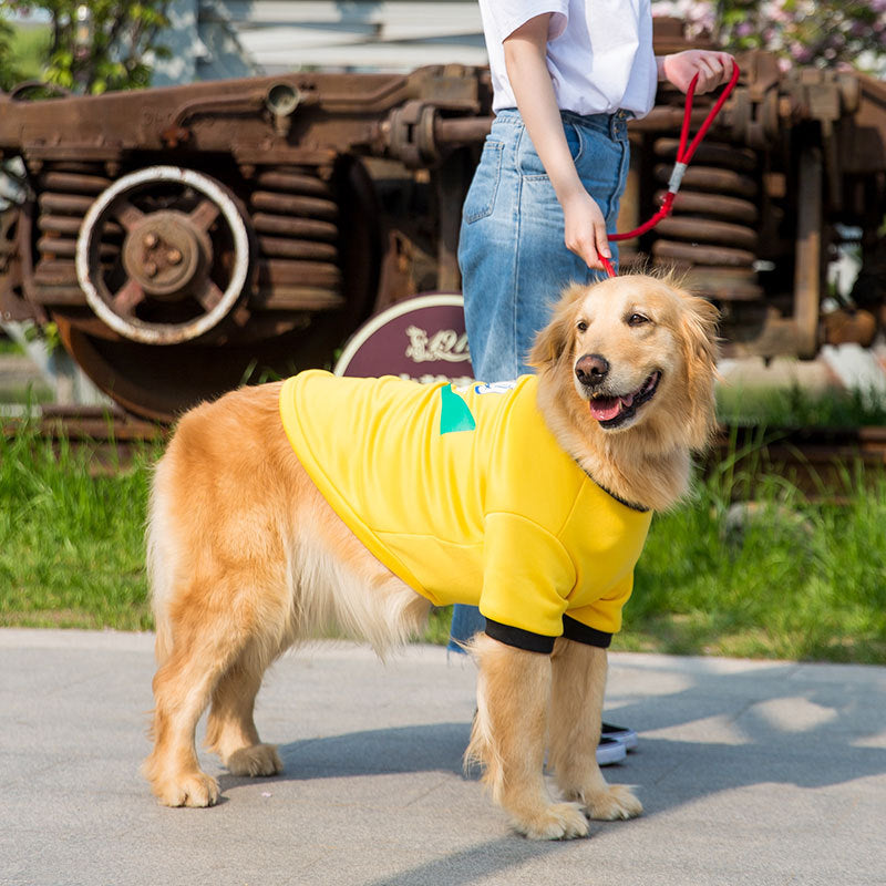 Medium And Large Dog Sweater