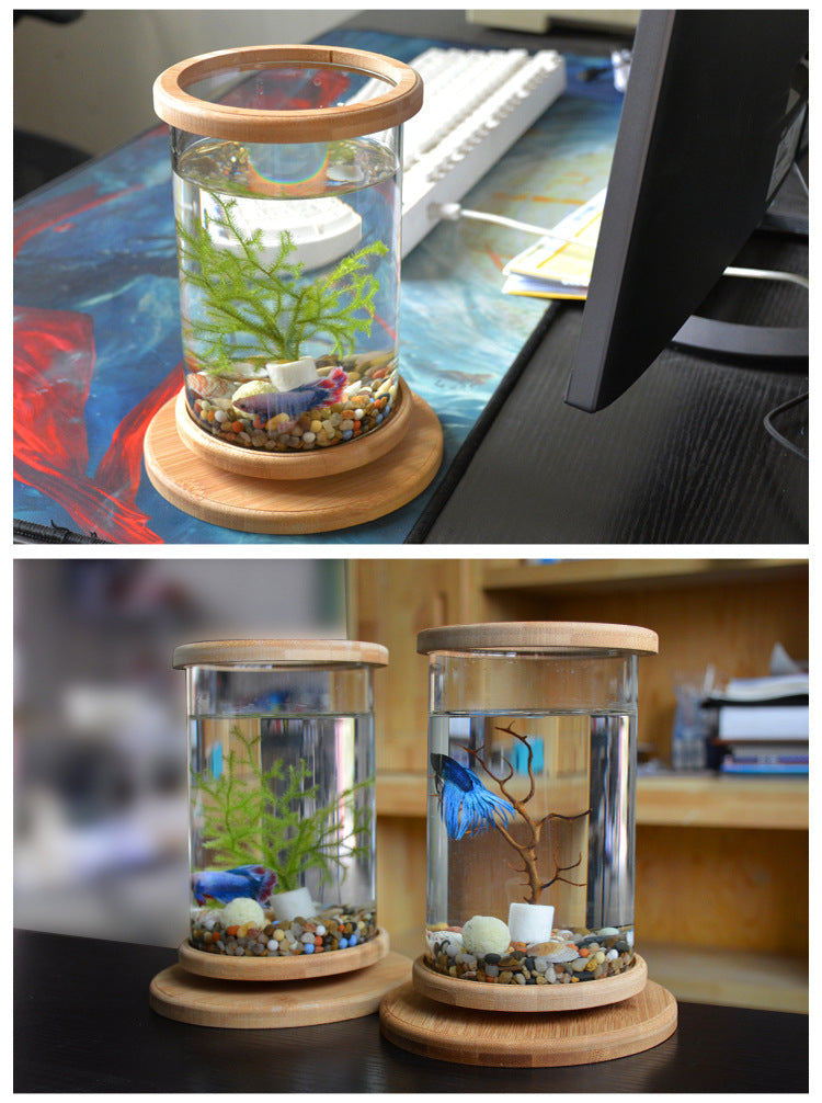Bamboo Base Mini Fish Tank