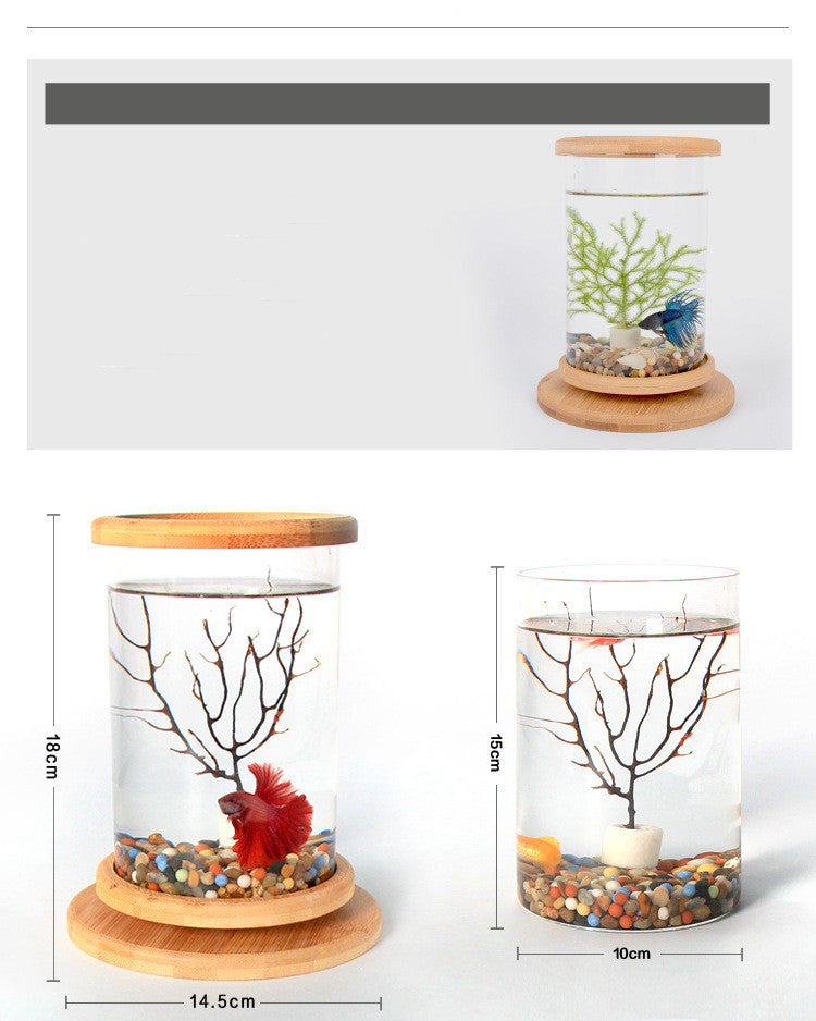 Bamboo Base Mini Fish Tank