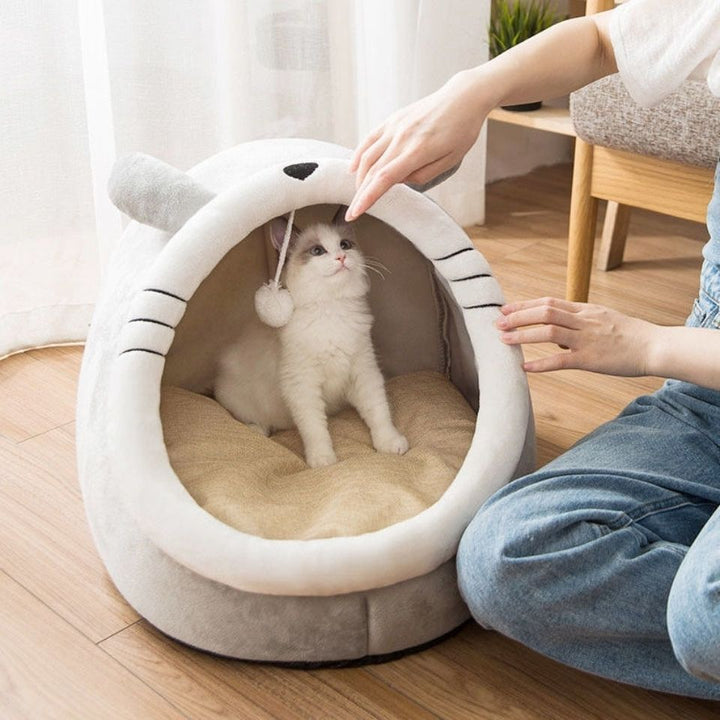 Cat Semi-enclosed House Villa
