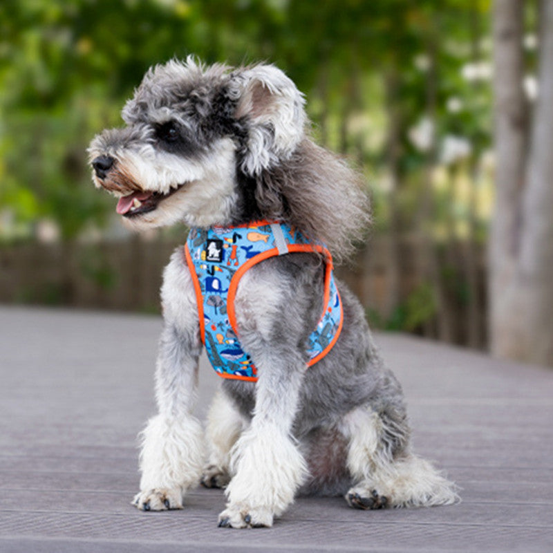 Dog Vest Strap Hand Holding Rope