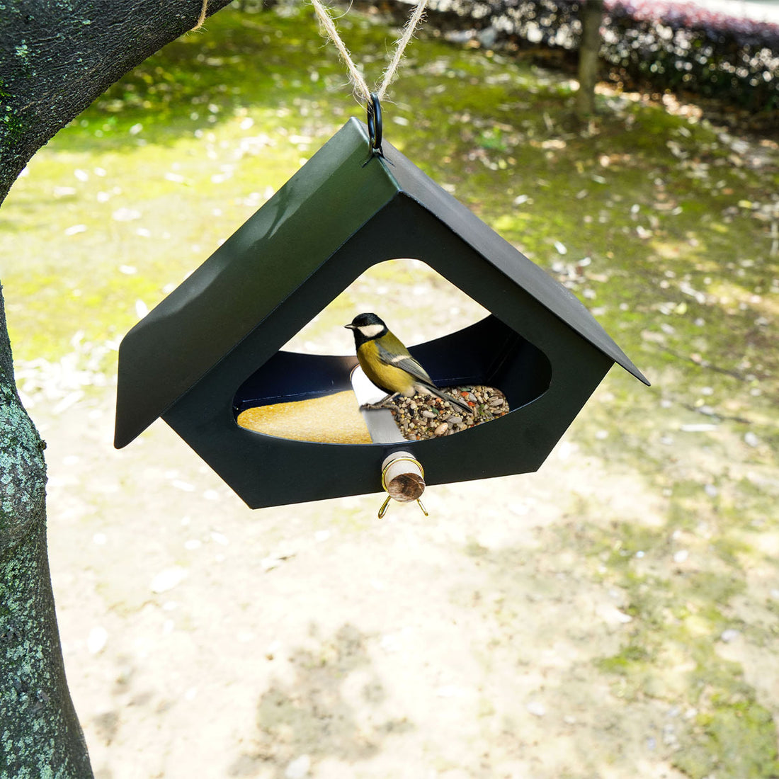 European-style Simple Iron Bird Food