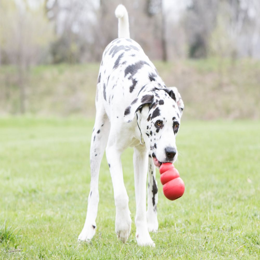 Food Leakage Rubber Dog Toy