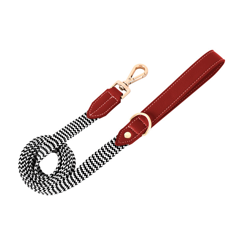 Pet Vest-style Hand Holding Rope