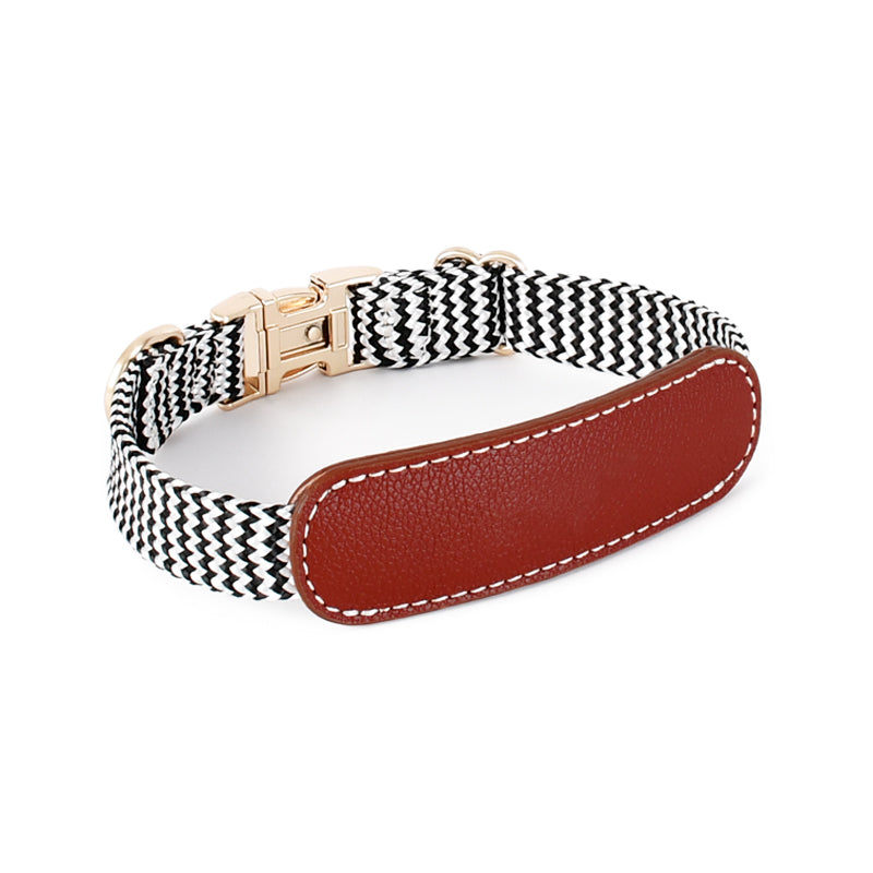 Pet Vest-style Hand Holding Rope
