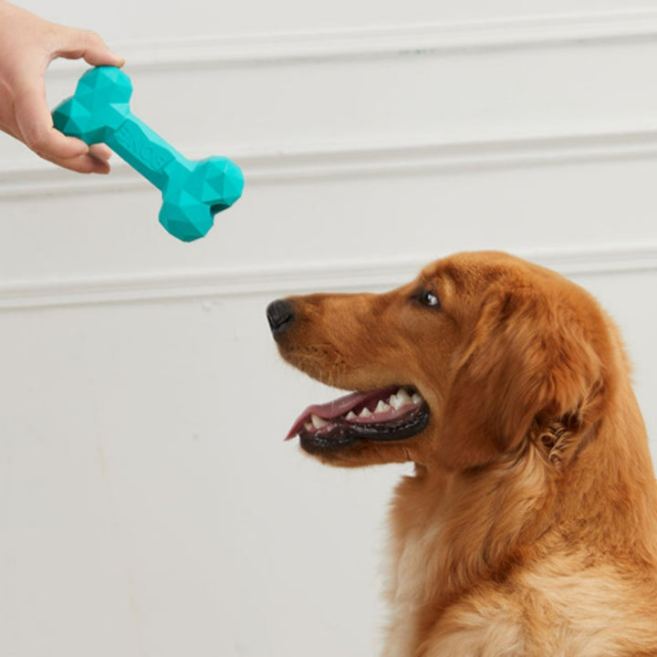 Grinding Bite Resistant Rubber Bone Toy