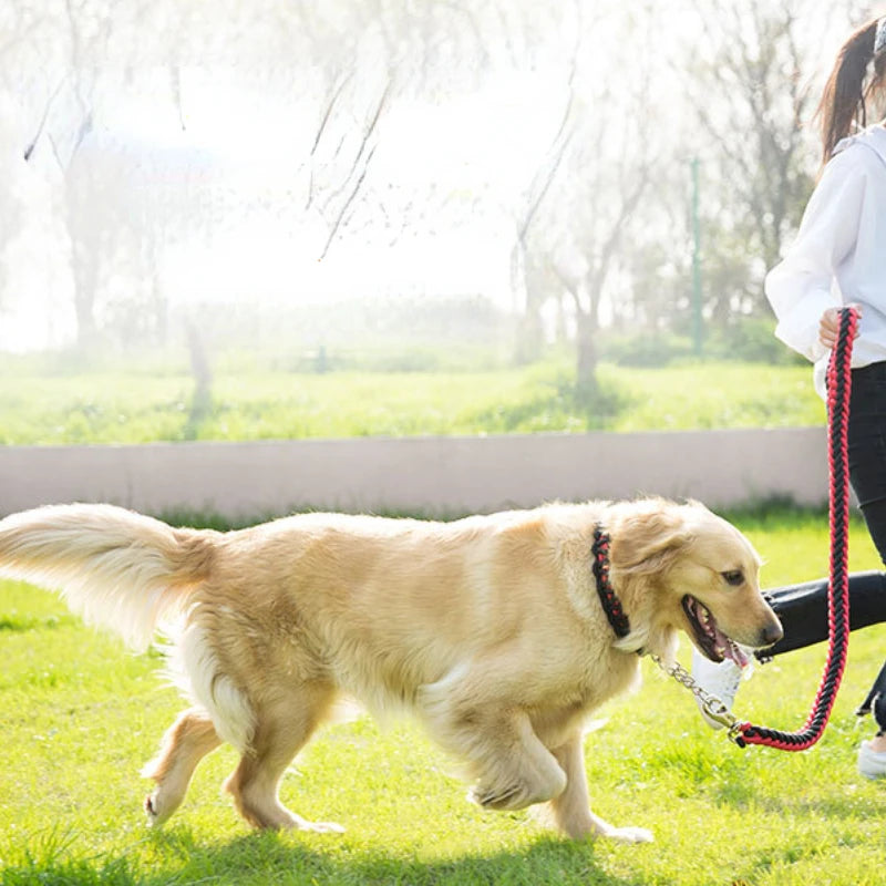 Dog Collars And Belt Covers