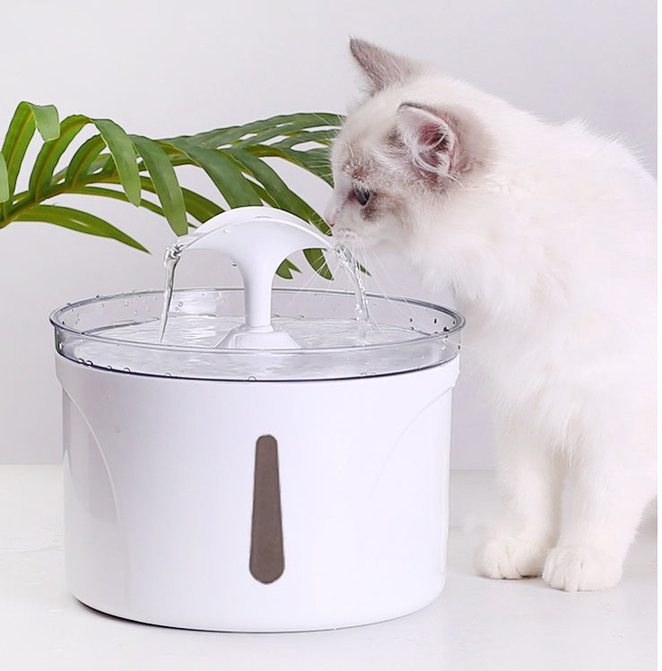 Pet Water Dispenser Intelligent Automatic
