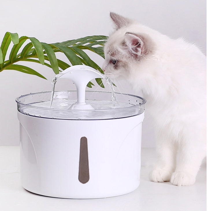 Pet Water Dispenser Intelligent Automatic