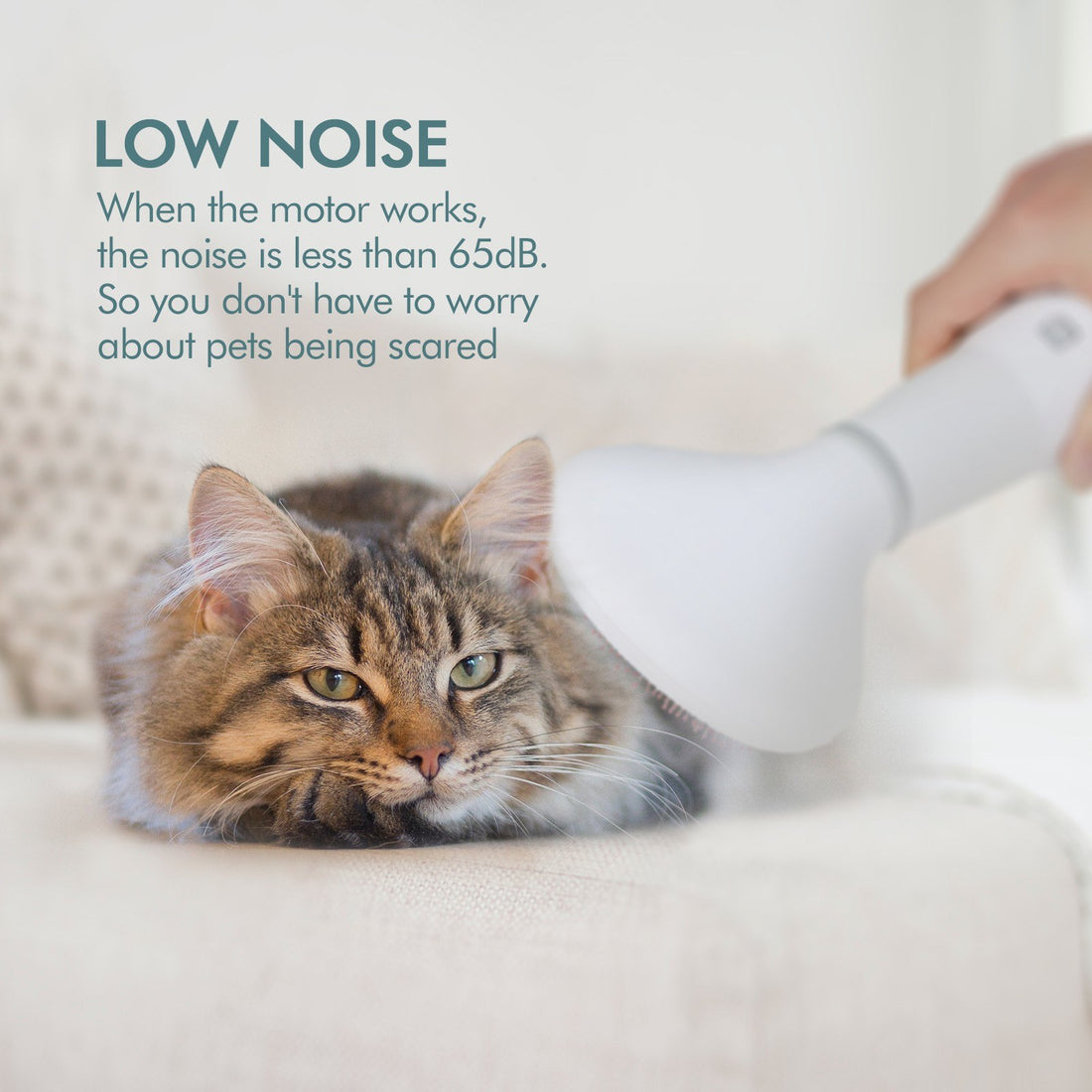 Dadypet Pet Dog Hair Dryer Grooming