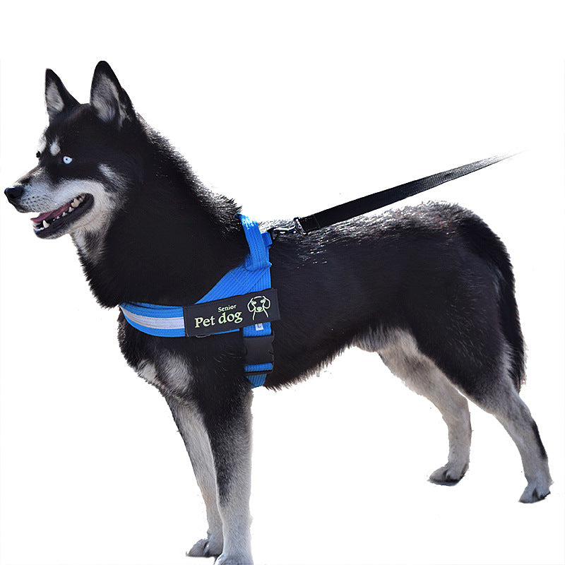 Dog Walking Chain Leash Medium
